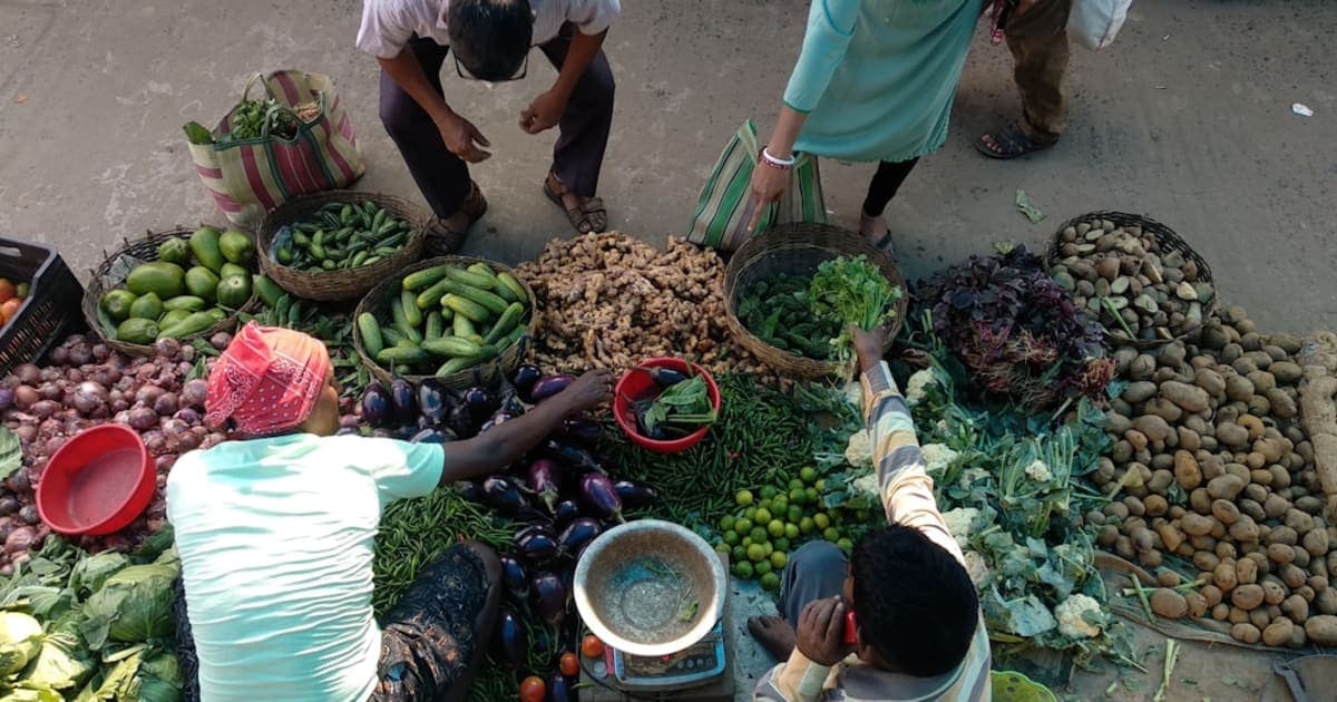 A Beginner’s Guide to Checking Vegetables for Bugs
