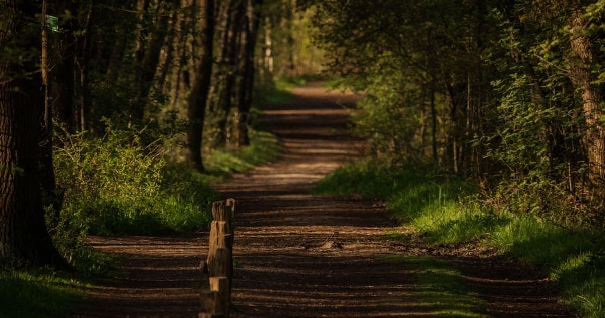 Where to Begin Your Jewish Journey